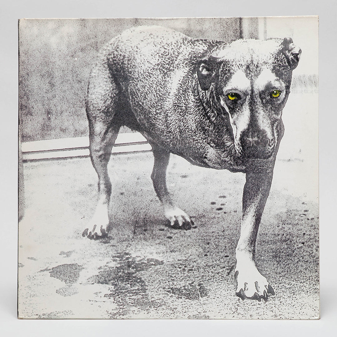 Alice In Chains "Alice In Chains"