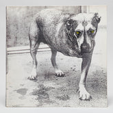 Alice In Chains "Alice In Chains"