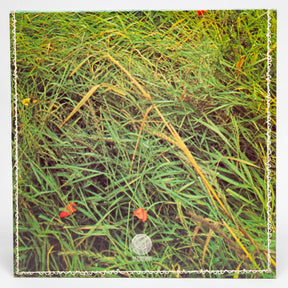 Iann Carr "Belladonna"