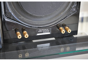 Pawel Acoustics Ensemble PA-1