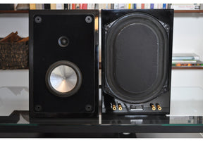 Pawel Acoustics Ensemble PA-1