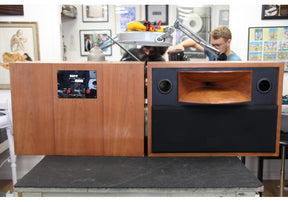 Solo H 500 Studio Horn Monitor