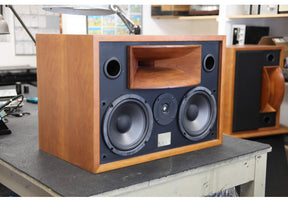 Solo H 500 Studio Horn Monitor