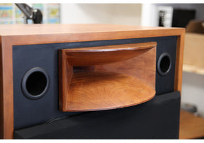 Solo H 500 Studio Horn Monitor