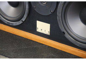 Solo H 500 Studio Horn Monitor