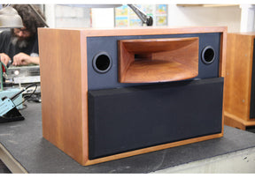 Solo H 500 Studio Horn Monitor