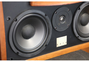 Solo H 500 Studio Horn Monitor