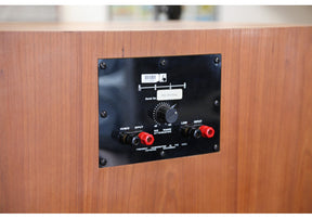 Solo H 500 Studio Horn Monitor