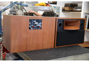 Solo H 500 Studio Horn Monitor