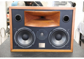 Solo H 500 Studio Horn Monitor