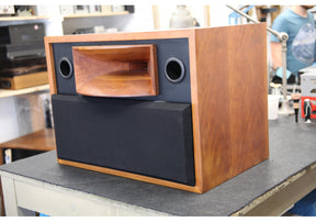 Solo H 500 Studio Horn Monitor